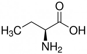 Aminobutyric Acids