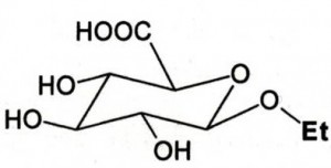 Ethylglucuronide