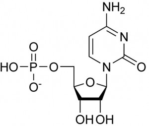 Cytidine Monophosphate