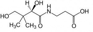Panthothenic Acid
