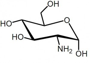 amino sugar