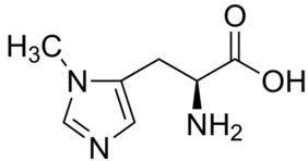 3-Methylhistidine