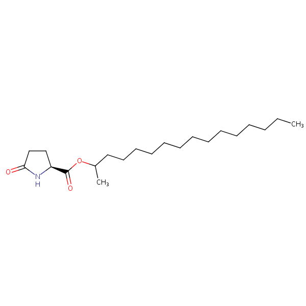 1-Methylpentadecyl 5-oxo-L-prolinate structural formula