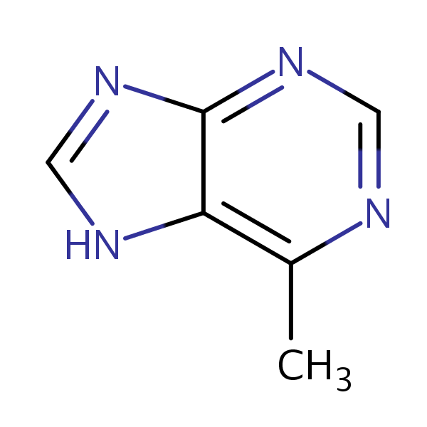 1H-Purine, 6-methyl- structural formula