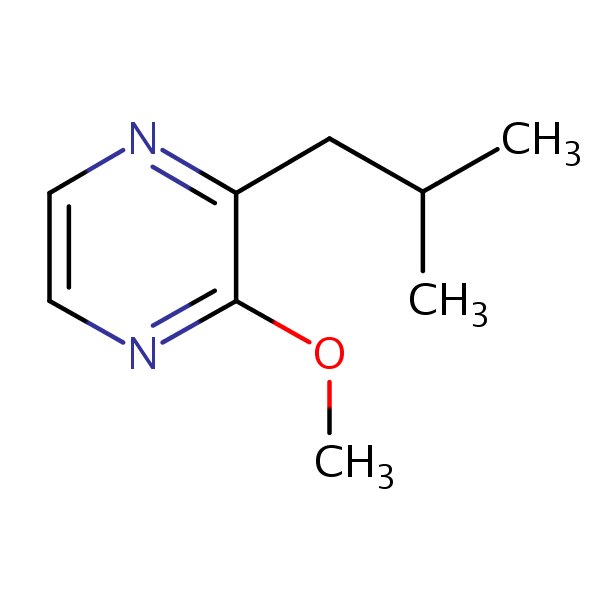 2-Isobutyl-3-methoxypyrazine structural formula