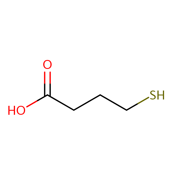 4-Mercaptobutyric acid structural formula