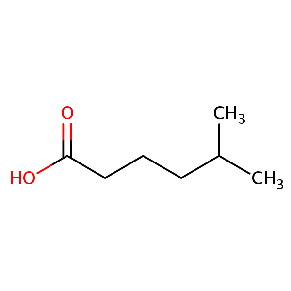 5-Methylhexanoic acid structural formula