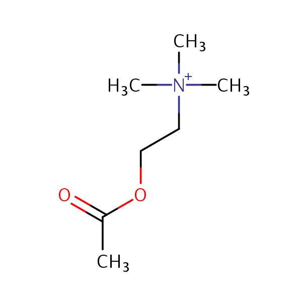 Acetylcholine structural formula
