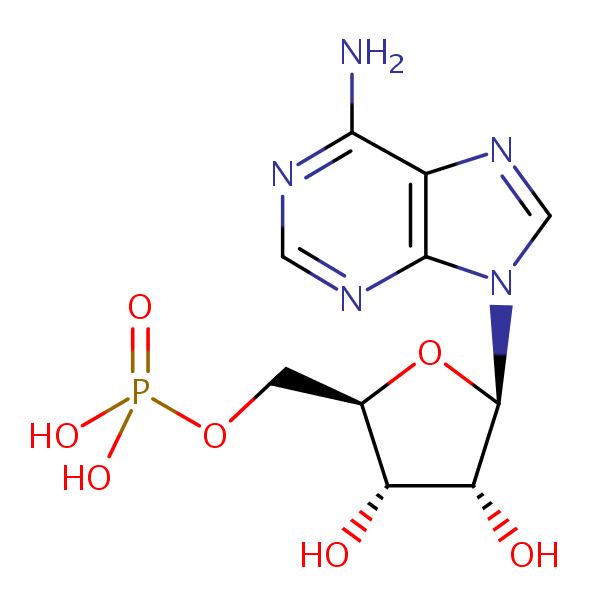 Adenosine Monophosphate structural formula