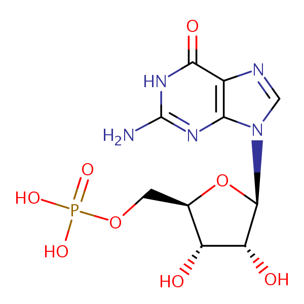 Guanosine Monophosphate structural formula