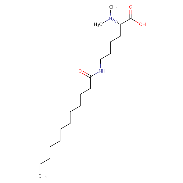 N2,N2-Dimethyl-N6-(1-oxododecyl)-L-lysine structural formula