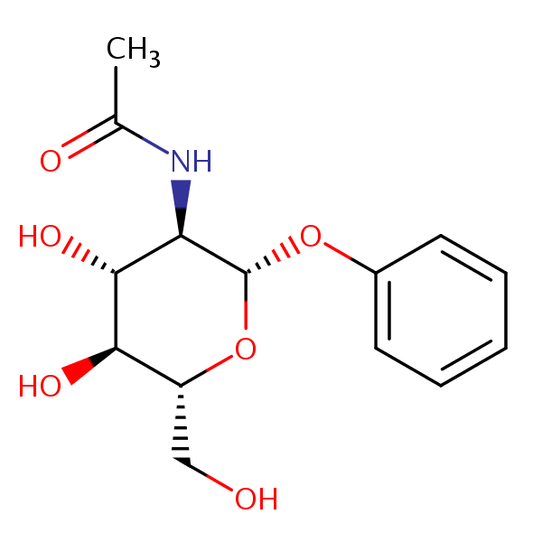 Phenyl 2-acetamido-2-deoxy-beta-D-glucopyranoside structural formula
