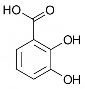 2,3-Dihydroxybenzoic Acid