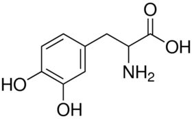 DOPA (3,4-dihydroxy-L-phenylalanine)