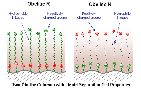 Obelisc R and Obelisc N explained