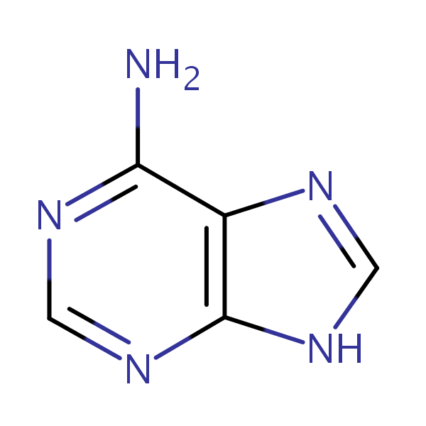 Adenine structural formula