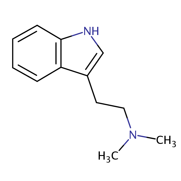 N,N-Dimethyltryptamine structural formula
